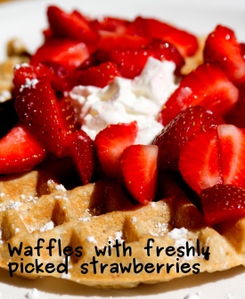 A photo of the waffeles