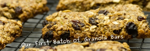 Photo of our first batch of granola bars