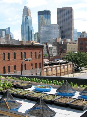Photo of Rooftop Garden at The Bachelor Farmer